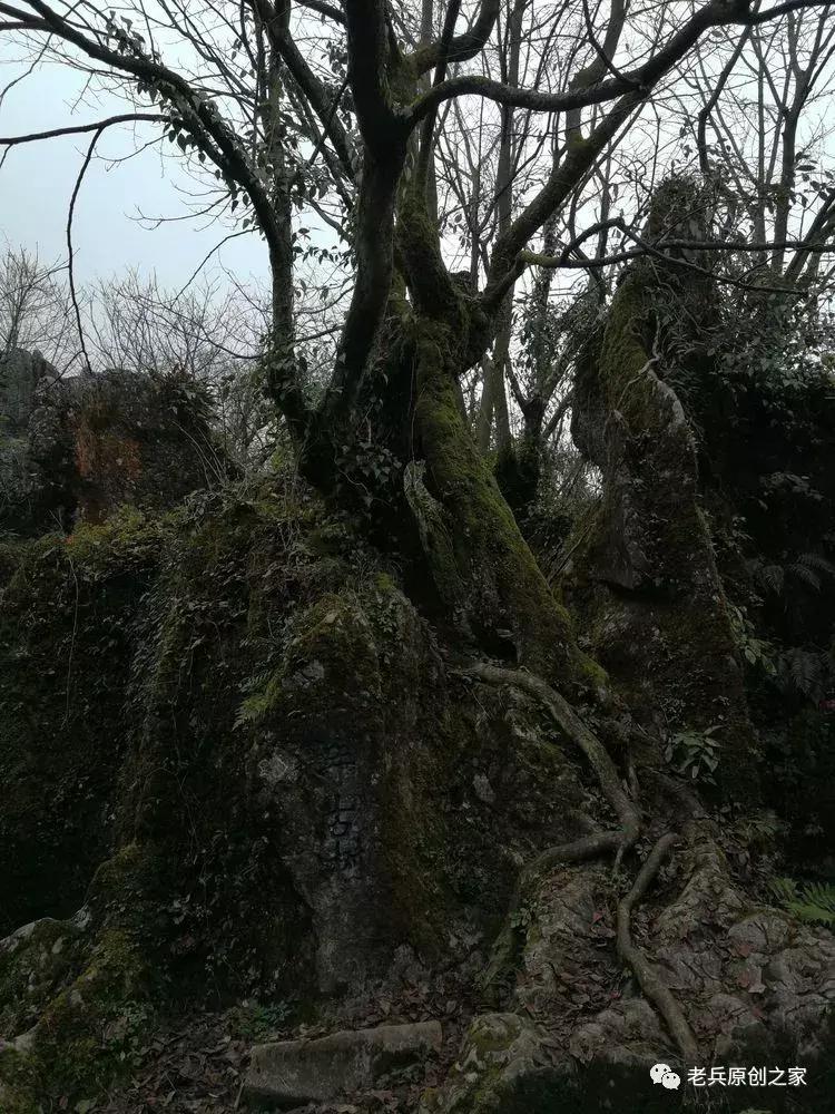 四川四大历史名山华蓥山,华蓥山名山