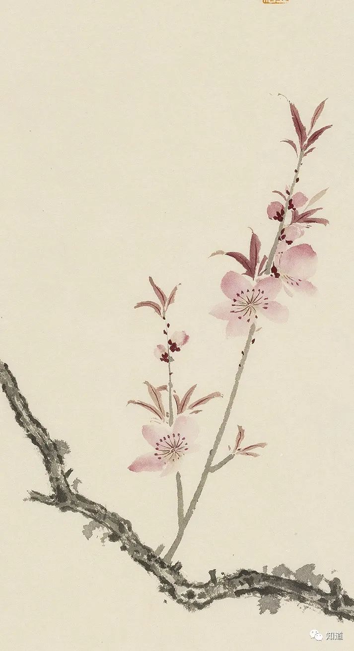 春天的脚步近了好像一切都醒来了,春天的脚步已经悄然而至