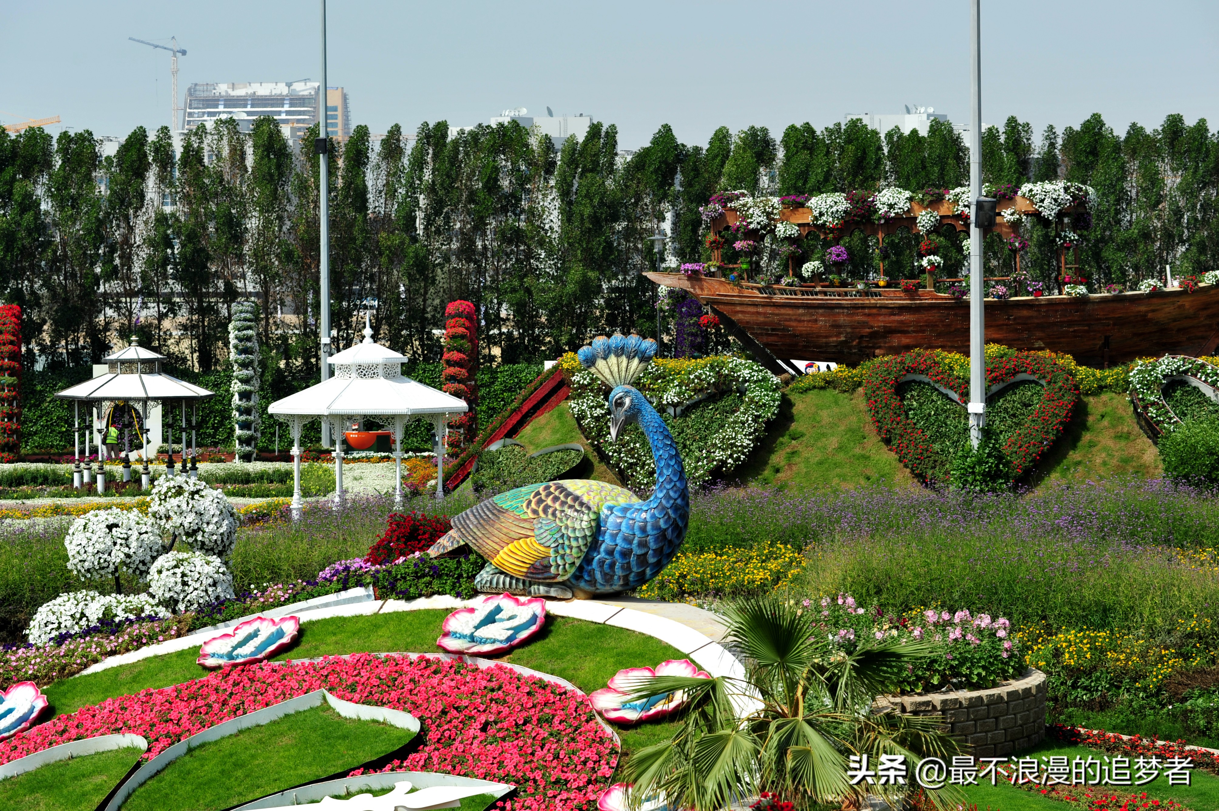 阿联酋迪拜的旅游感想,阿联酋迪拜旅游攻略