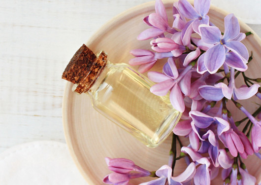 佛手香味的作用,佛手那么香有什么妙用