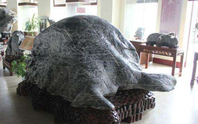 发财记：安徽小伙闯非洲，白手起家多磨难，选对项目，3年大翻身