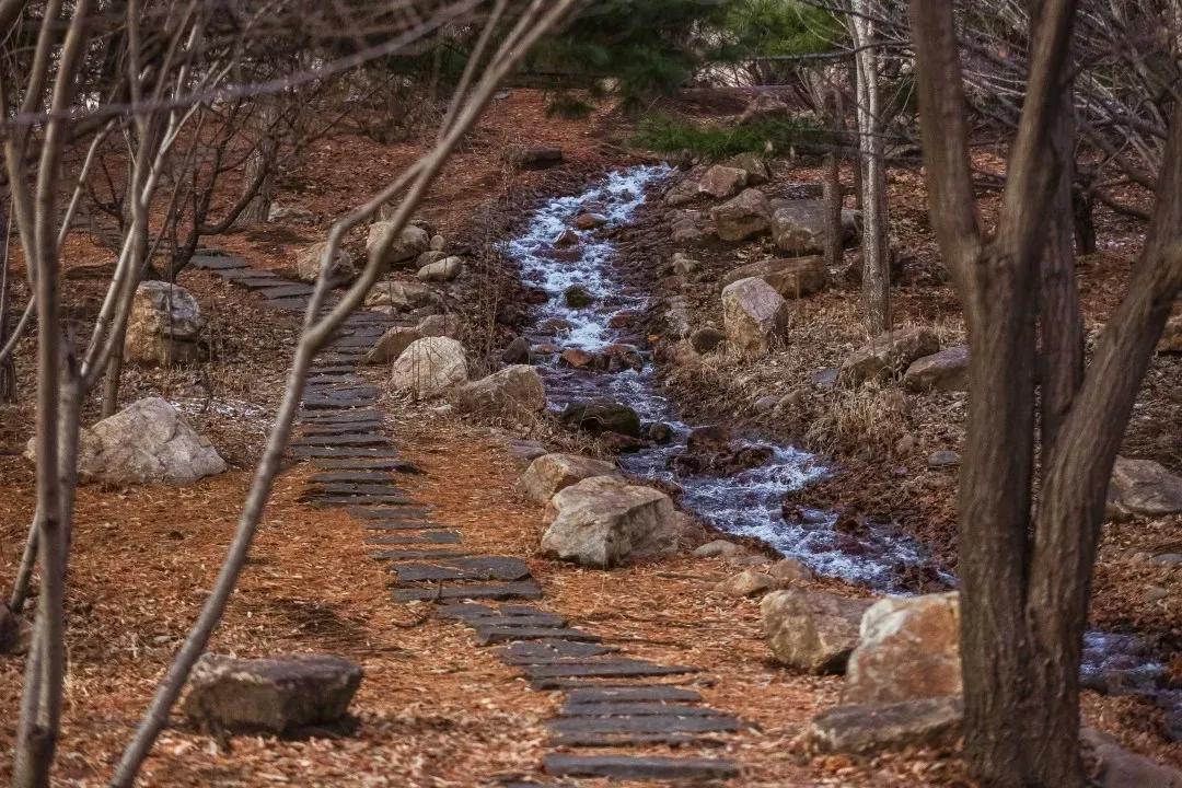 辽宁省高等院校分布图,辽宁省高考报考沈阳航空航天大学