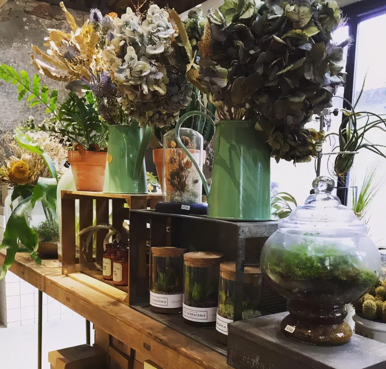 开在胡同里的花店,这家藏在北京老胡同里的花店