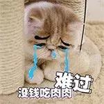 如何给猫选猫粮,易上火的猫应选择什么样的猫粮