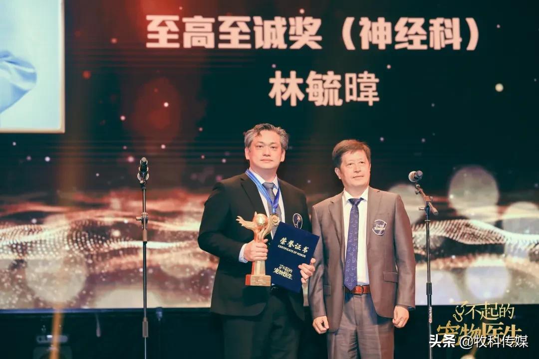 初心如磐笃行致远中国人寿,初心如磐笃行致远军训落幕篇