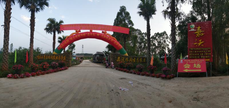 深情的表白一段话,深情的表白的情话