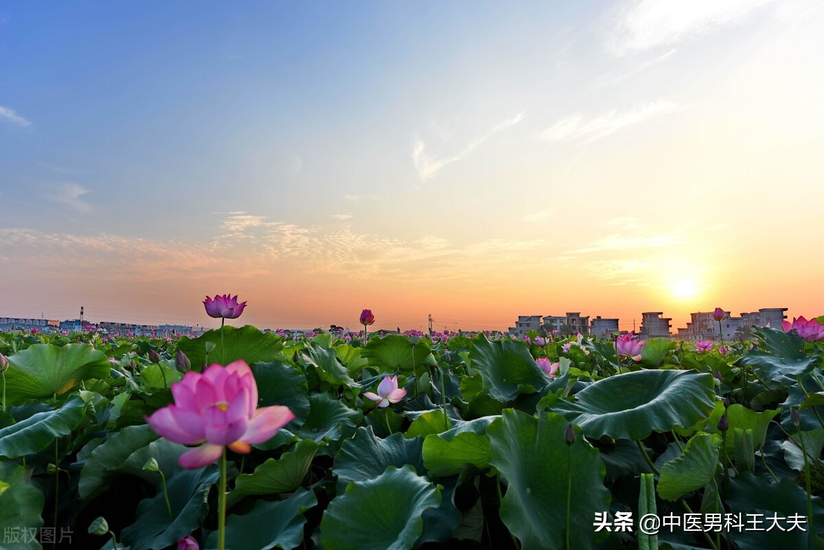 四肢酸软睡不着怎么处理,四肢酸软无力在中医是怎么回事