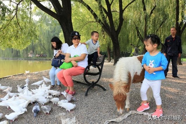 北京紫玉山庄有什么好玩的,紫玉山庄旅游度假