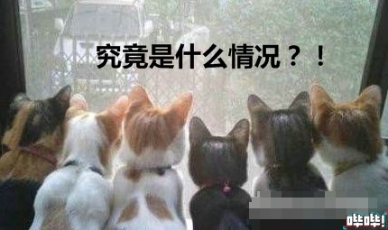 育碧做的最牛的游戏,育碧最招牌的游戏是什么