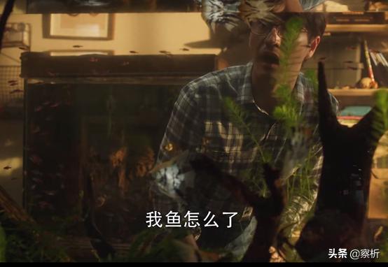 当夫妻变成朋友,当夫妻关系变成合租关系