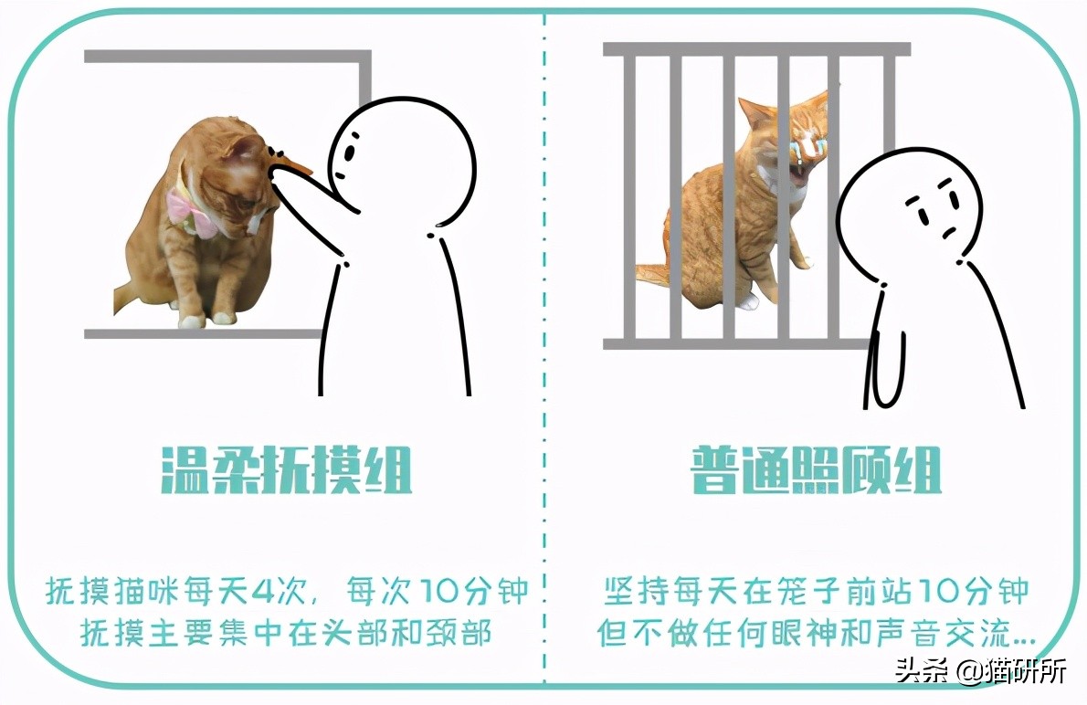 怎样让猫咪远离一个地方,怎么让猫咪远离耳螨