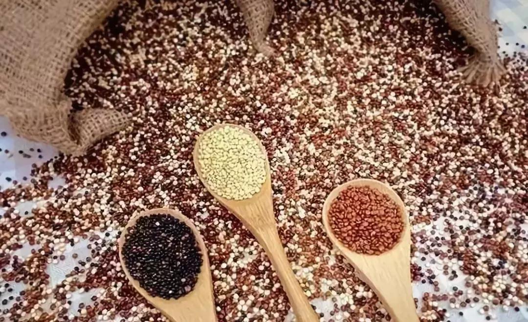 不吃主食减肥的你请看过来,不吃主食的减肥方式你还在坚持吗