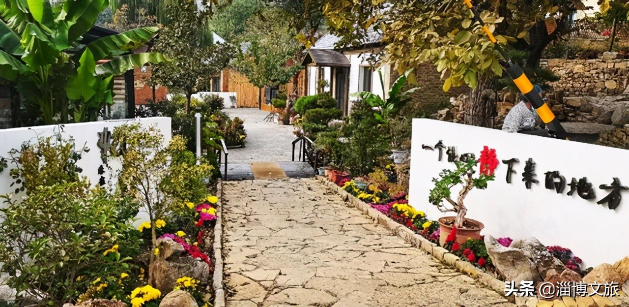 山东淄博田庄德禄民宿,淄博半山杏舍山居民宿