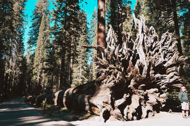 美国优胜美地国家森林公园风光,上帝的伊甸园伊犁