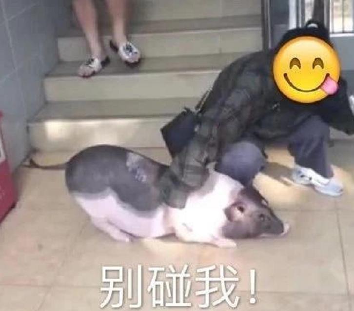 大学宿舍迷你洗衣机是不是违禁品,宿舍违禁品之洗衣机