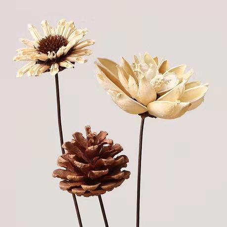 永不凋谢的松果花,永远不会凋谢的花朵