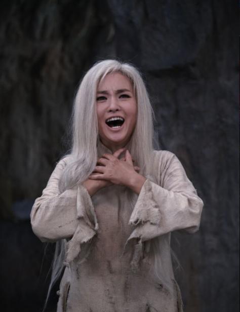 第29届中国戏剧梅花奖榜首,第31届中国戏剧梅花奖演出剧目