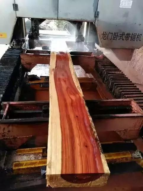 木材的发展与前景,木材界的黑马