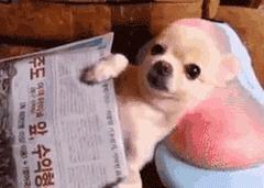 落枕是因为着凉吗,睡姿不正确导致的落枕怎么办