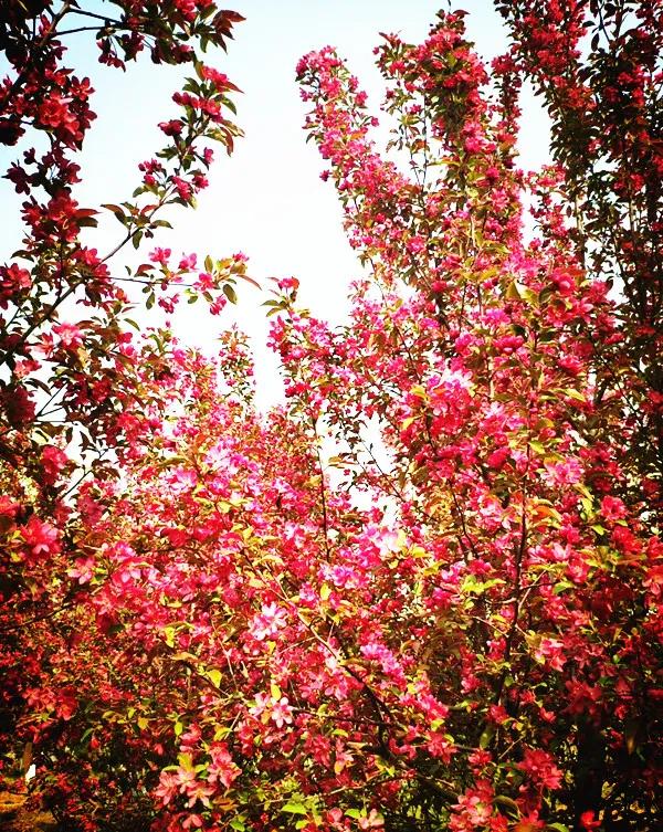 陕西咸阳鼓浪屿沙滩,咸阳沙滩景区