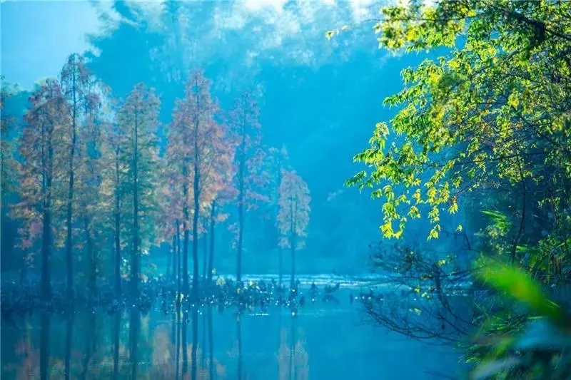 惠州深山隐藏的山庄,惠州温泉度假村攻略