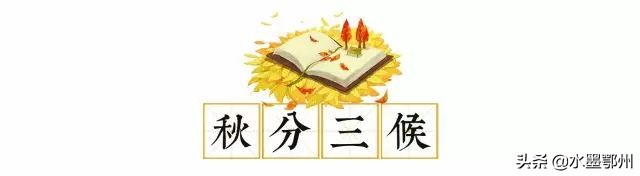 秋分在诗词里遇见最美秋日,秋天最美的诗秋分