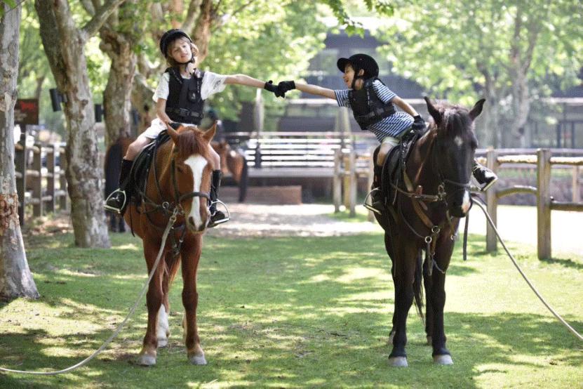 藏不住了!魔都9月,邂逅这58个宝藏惊喜