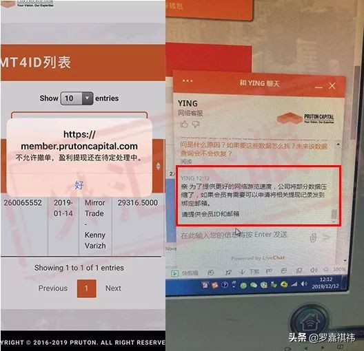 伪金融PT千亿巨骗东窗事发，百余万会员彻夜难眠，血流成河