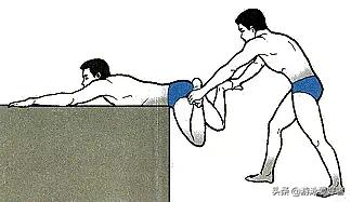 抬头蛙泳轻松入门,新手入门学蛙泳还是自由泳