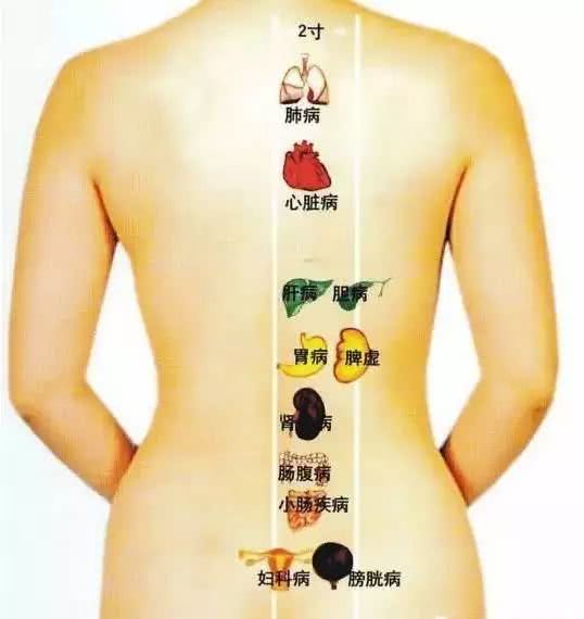 五行相生相克对应五脏六腑和季节,中医详解五脏六腑相生相克的关系