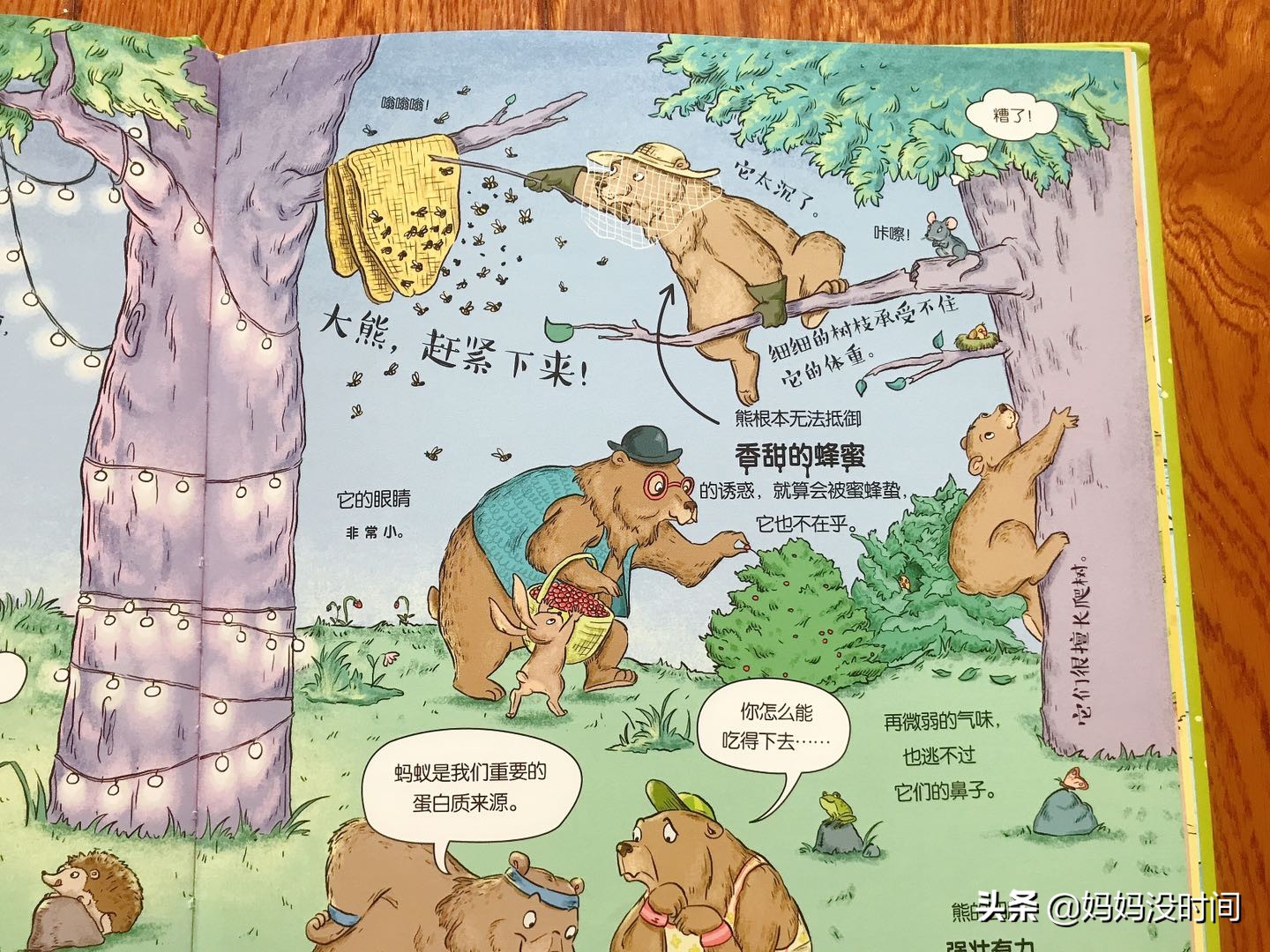 用绘本开启孩子哲学思维,如何通过看绘本提高孩子思维能力