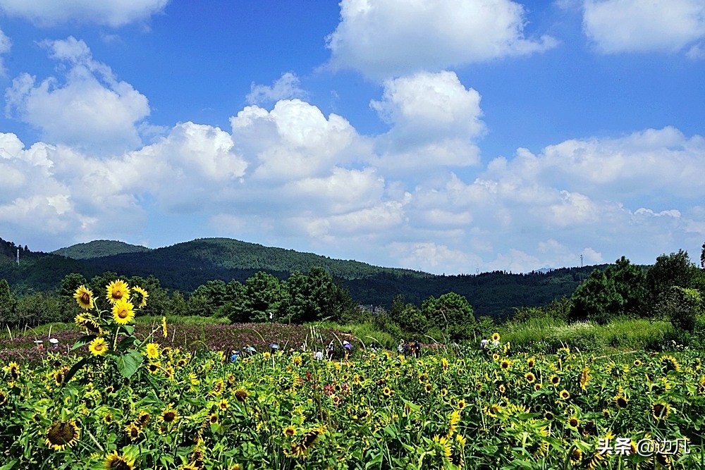 航拍一个村寨,航拍最美山谷风景