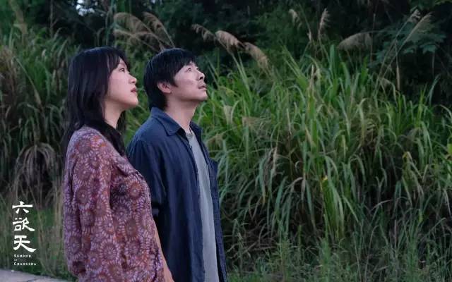 11月电影片单,11月片单