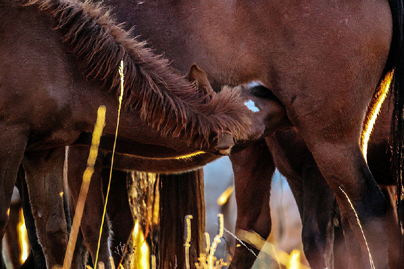 行摄美景,行摄塞外美景