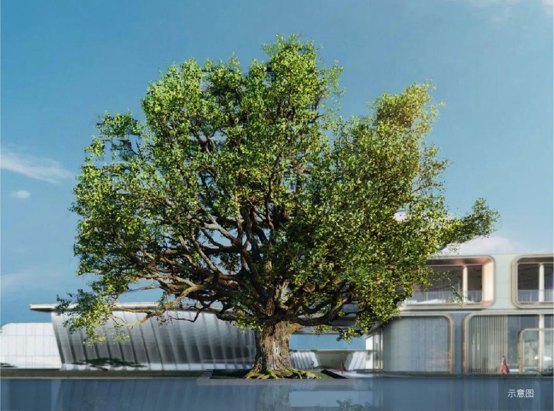 顺义红盘热势加推｜100天20亿的现象级热销名场面「超值洋房」