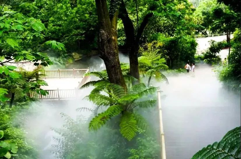 厦门婚纱拍摄地方推荐,旅游婚纱摄影推荐厦门