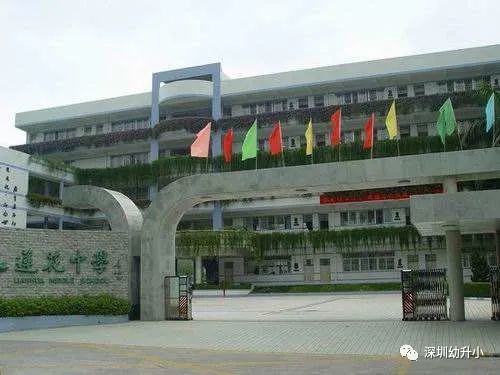 深圳2023优质小学校排名,深圳03大学区小学排名