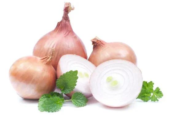 专业的装修除甲醛有效的方法,装修除甲醛最有效的方法测评