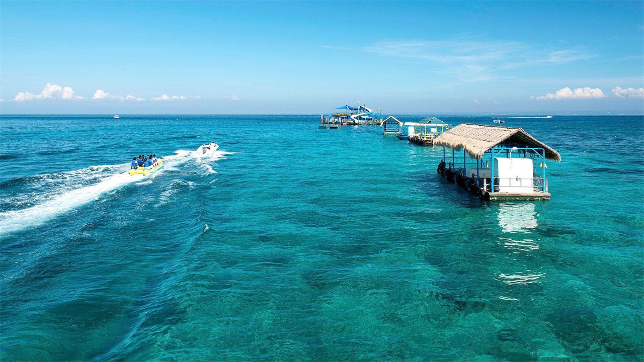 巴厘岛榴莲最新消息,巴厘岛榴莲凉了吗