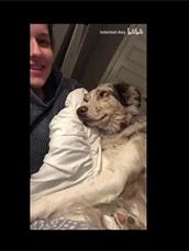 海外抖音tiktok怎么挣钱,tiktok视频放到抖音上