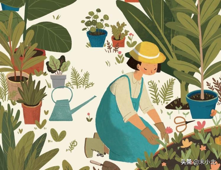 感情里的背叛有哪几种情形,感情出现了背叛值不值得原谅