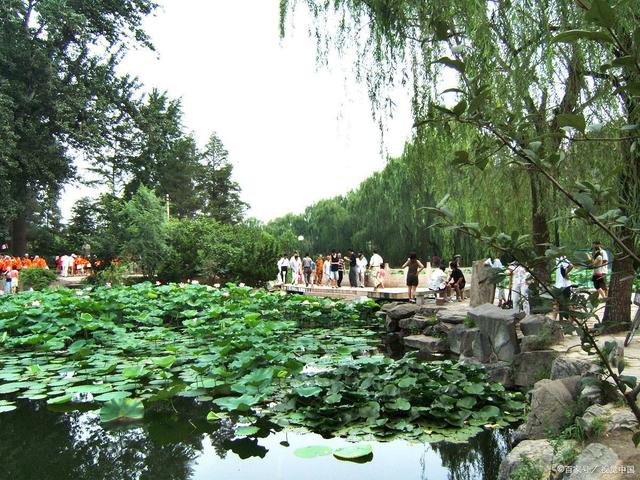 大学平均绩点3.7能拿奖学金吗,拿校级奖学金平均绩点需要多少