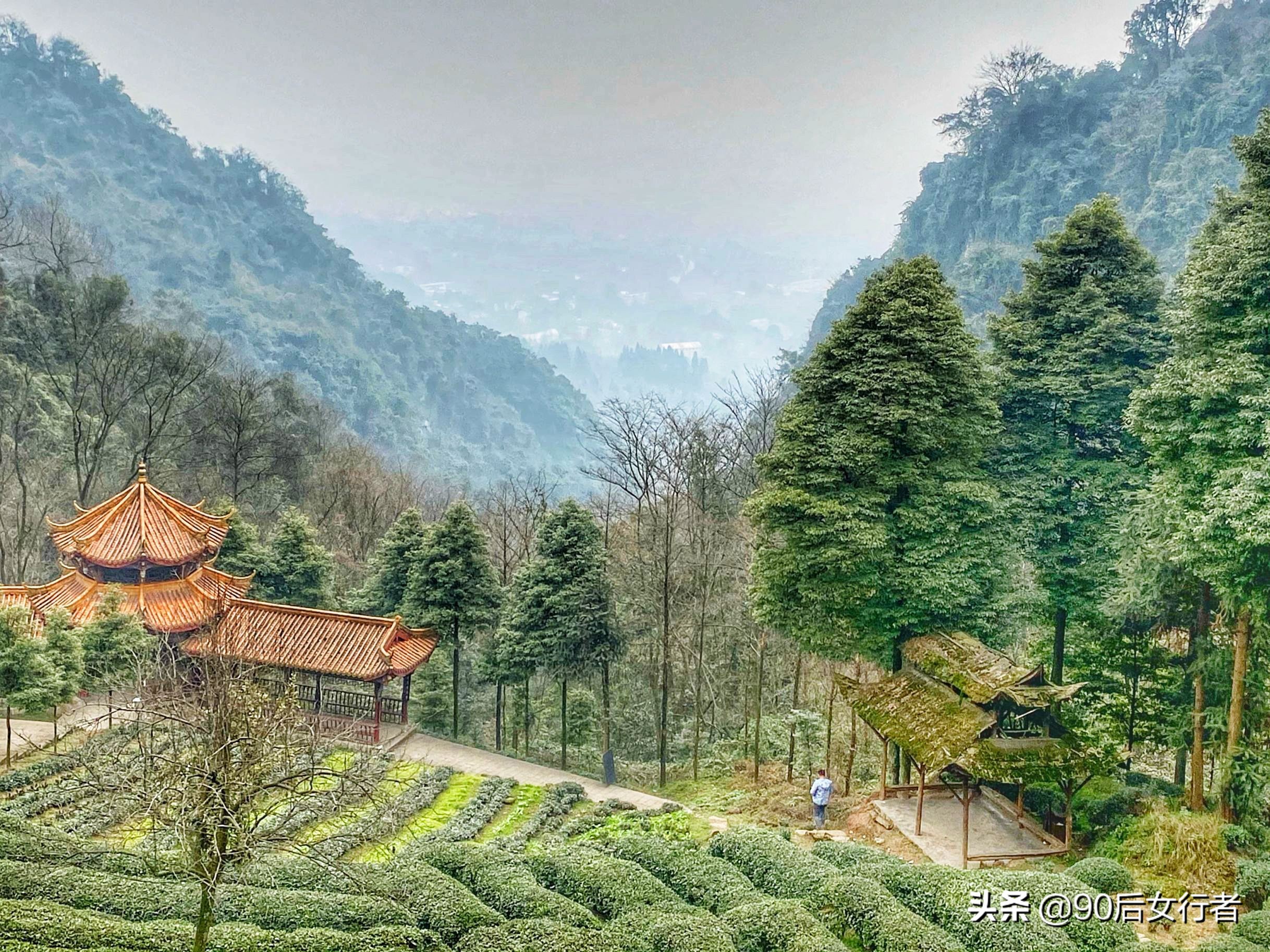 青城山隐居84岁道长教游客太极,拜会青城山