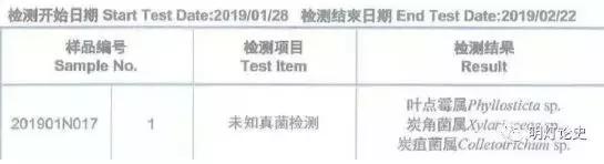柑橘烟煤病病原,柑橘煤烟病的防治方法