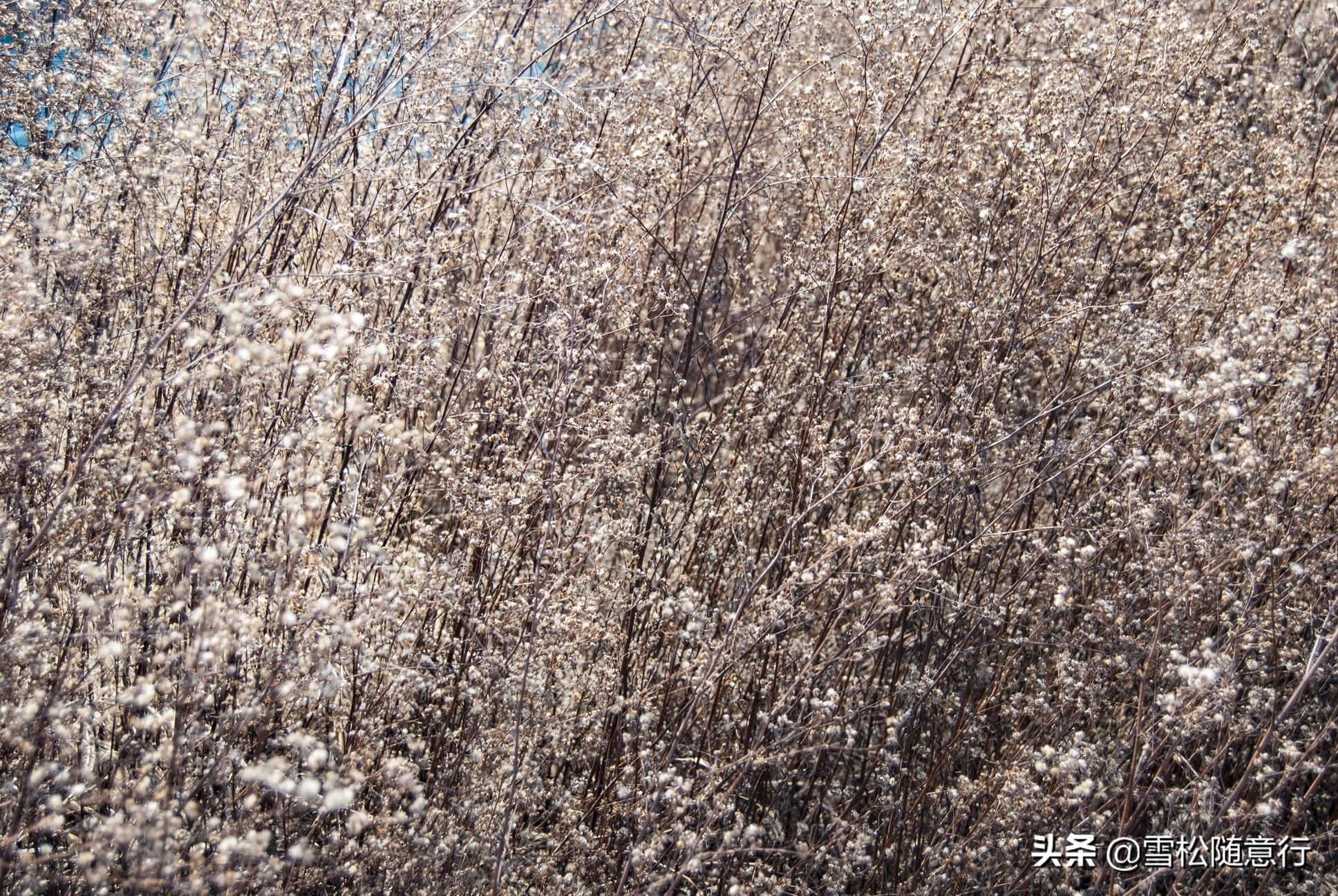 走进旧时的乡村,徐州陇海铁路遗址