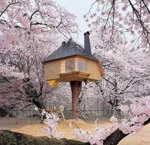 简单温馨的小屋怎样设计,温馨的小屋改造