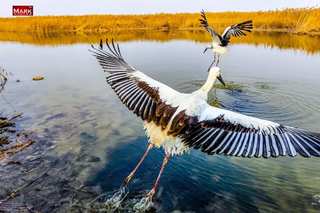 鎴戠埍鎴戝鎴垮瓙灏忓尯,鎴戠埍鎴戝闇稿窞鎴垮瓙