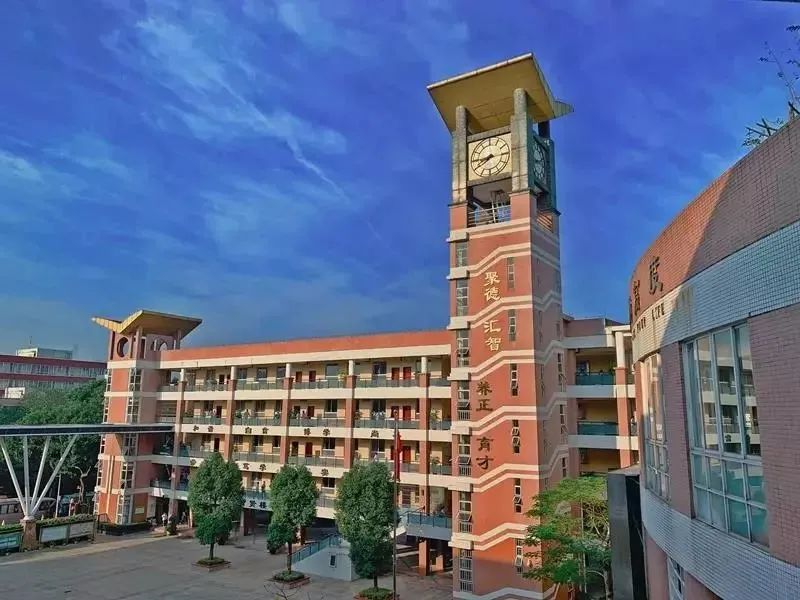 广州市小升初知识归纳,关于广州小升初学校分析