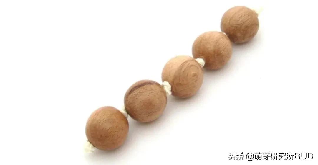 蒙台梭利亲子教育活动,蒙台梭利亲子活动视频