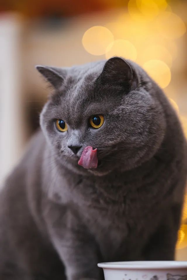 连用90天，拍摄近千G。EOSR5发布三个月后的使用报告